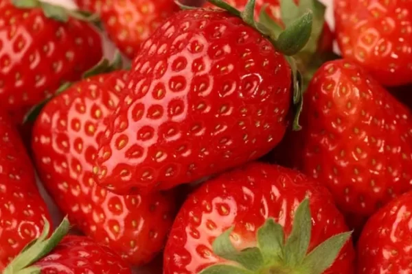 Definitely a hit with girls with a sweet tooth. Strawberries can help you lose weight.